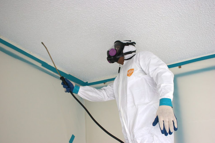 Seattle Mold Solutions