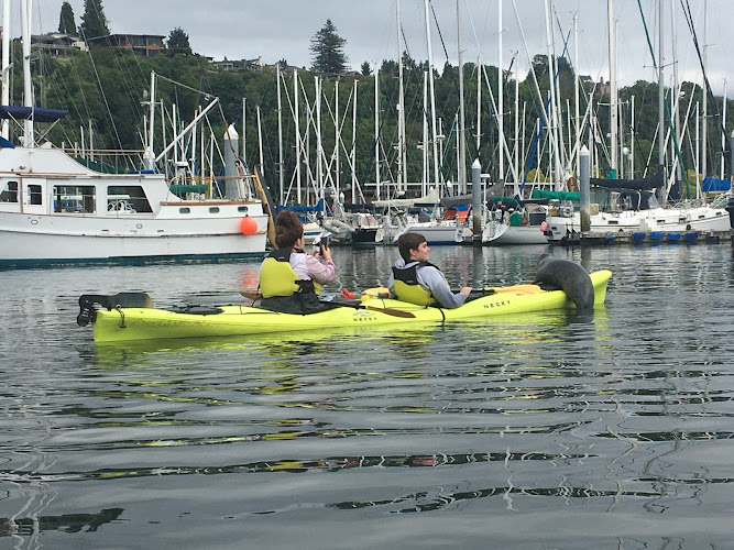 Ballard Kayak & Paddleboard Tours